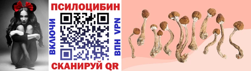 где продают наркотики  Харовск  Галлюциногенные грибы MAGIC MUSHROOMS 