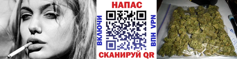 Конопля сатива  Харовск 